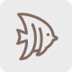観賞魚がショップにいます