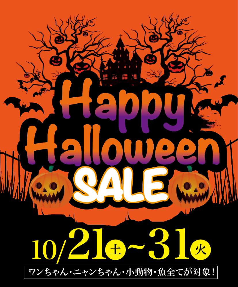新・ハロウィン　HALLOWEEN Amazon.co.jp: Z/X -Zillions of enemy X- EXパック第43弾