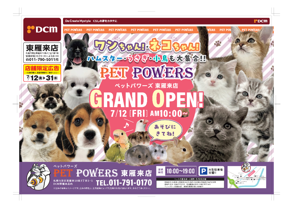 J.PRESS フェイクレザー ジャケット 小型犬 / PET PARADISE