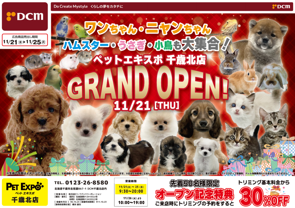 ペットエキスポ千歳北店】オープン！ | 【全国120店舗以上】ペット