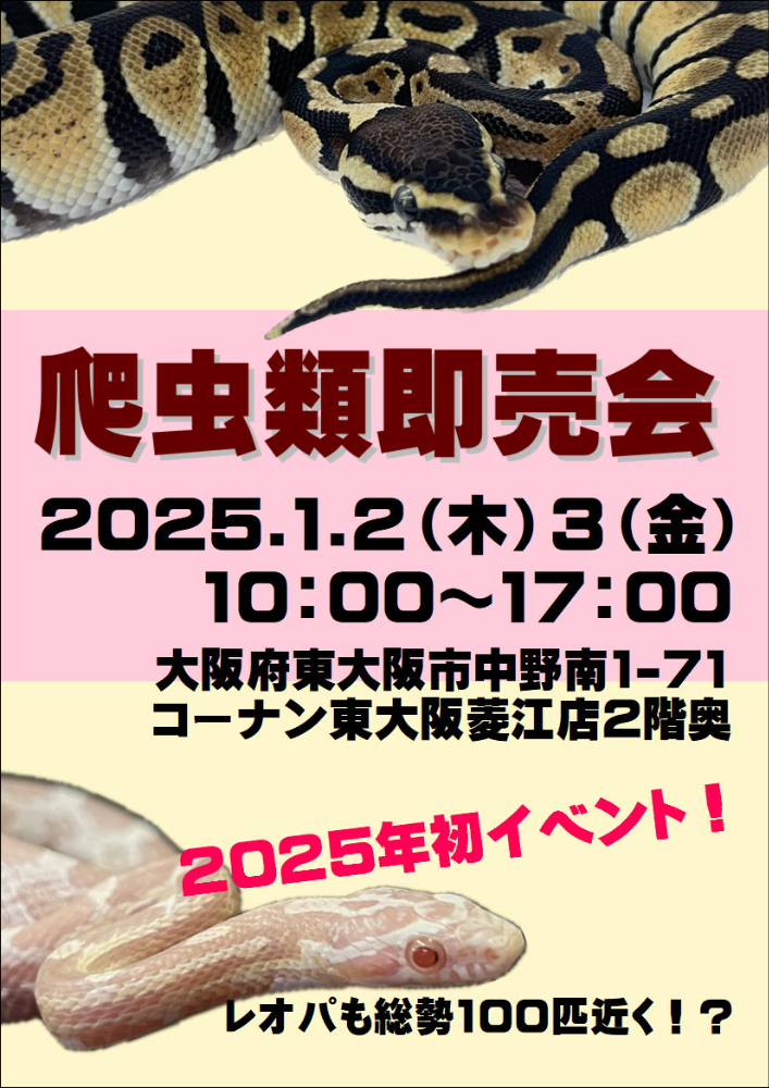 ペットプラザ東大阪菱江店】2025年1月2、3日（木、金）爬虫類即売会