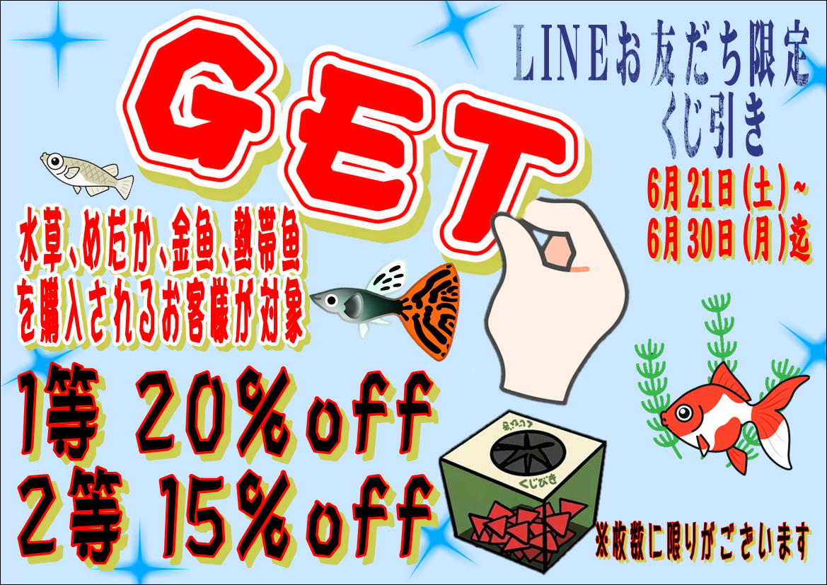 箕面今宮店】アクアくじ引き開催中 | 【全国120店舗以上】ペット