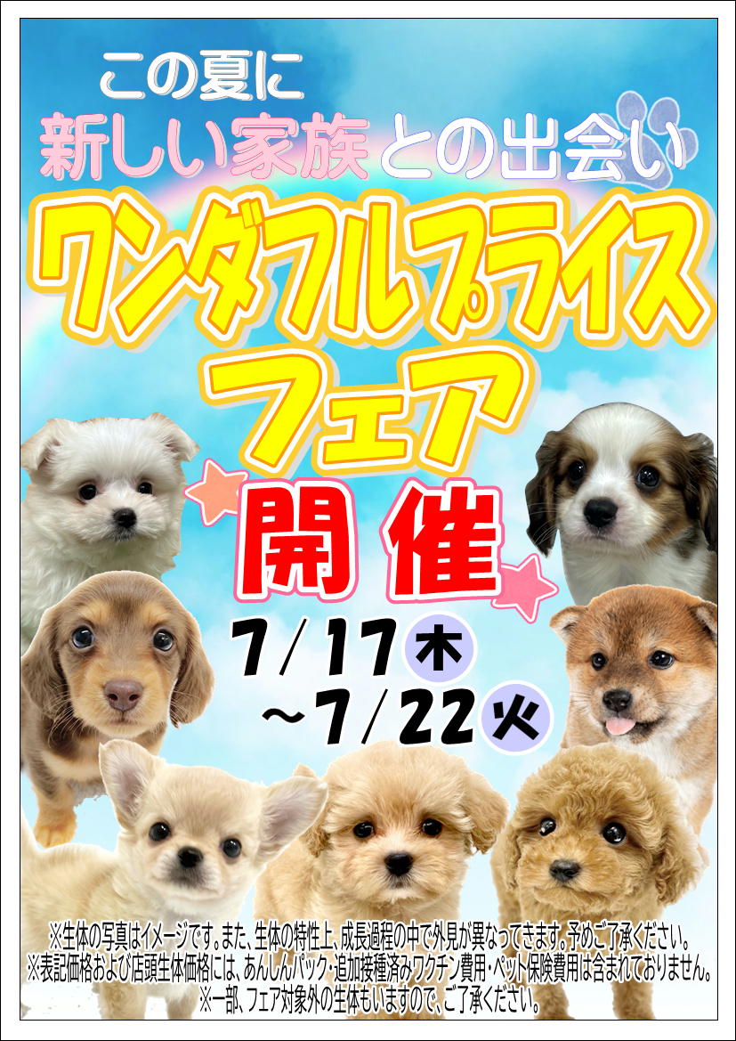 ペットプラザ一宮店】ワンダフルプライスフェア開催中！！ | 【全国120