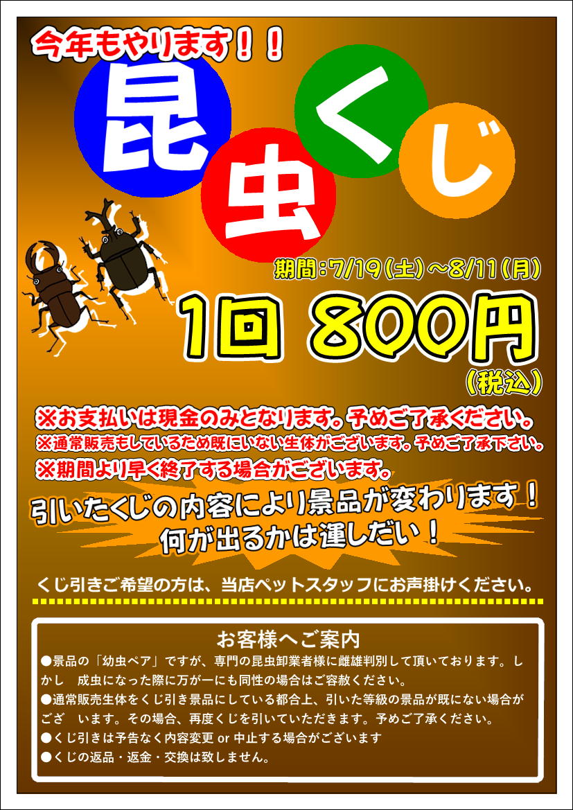 ペットプラザ本羽田萩中店】昆虫くじ開催🐛 | 【全国120店舗以上