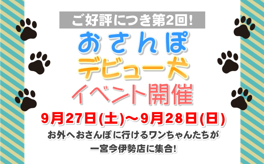 🐶ペットプラザ一宮今伊勢店🐾おさんぽデビュー犬集合！🚩 | 【全国120