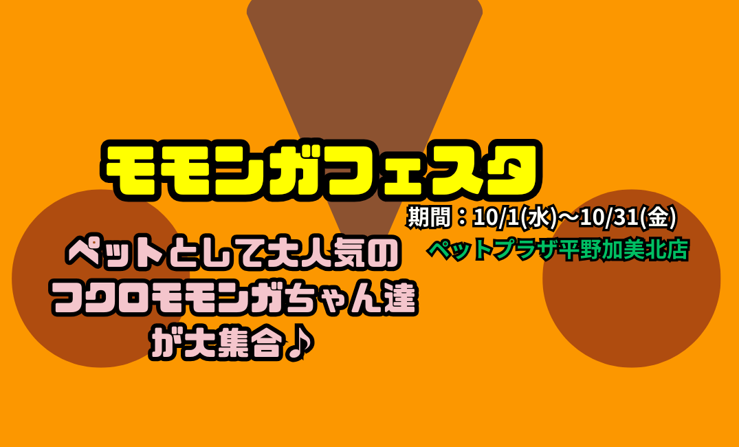 ☆モモンガフェスタ開催のお知らせ☆ | 【全国120店舗以上】ペット