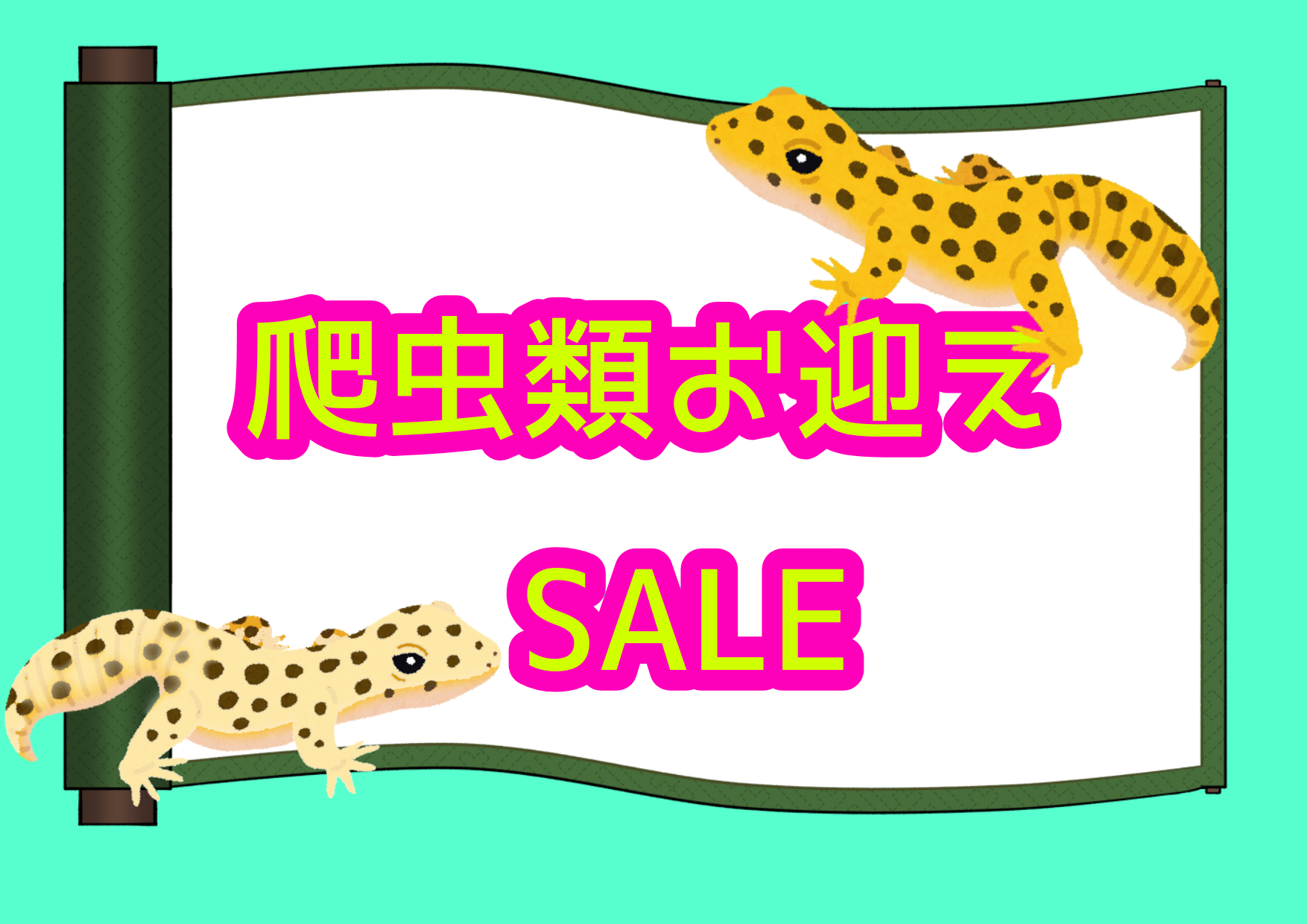 楽天市場】飼育ケージ 90 45（爬虫類・両生類｜ペット・ペットグッズ