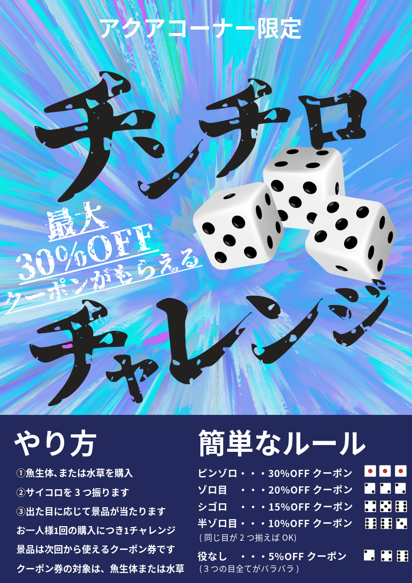 🐟門真殿島店 チンチロチャレンジ 開催中🐟 | 【全国120店舗以上