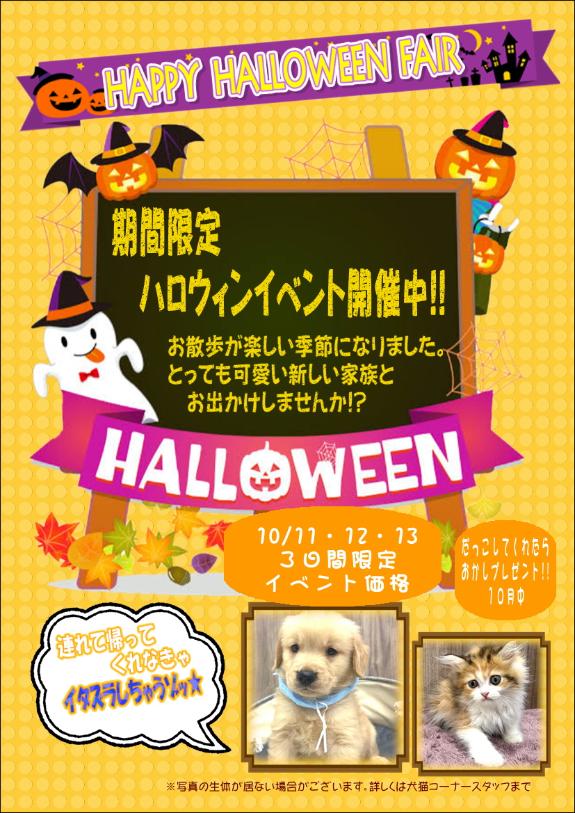 ハロウィンイベント | 【全国120店舗以上】ペットショップ