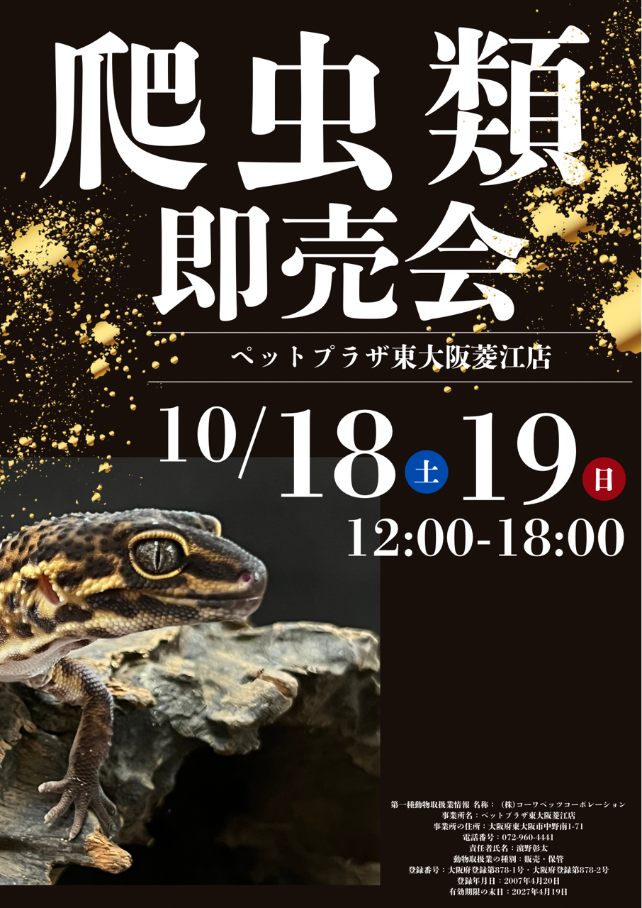 ペットプラザ東大阪菱江店】爬虫類即売会 2025年10月18、19日（土、日
