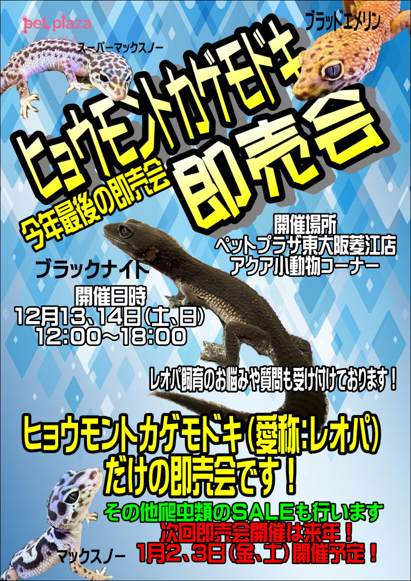 ペットプラザ東大阪菱江店のお知らせ | 【全国120店舗以上】ペット