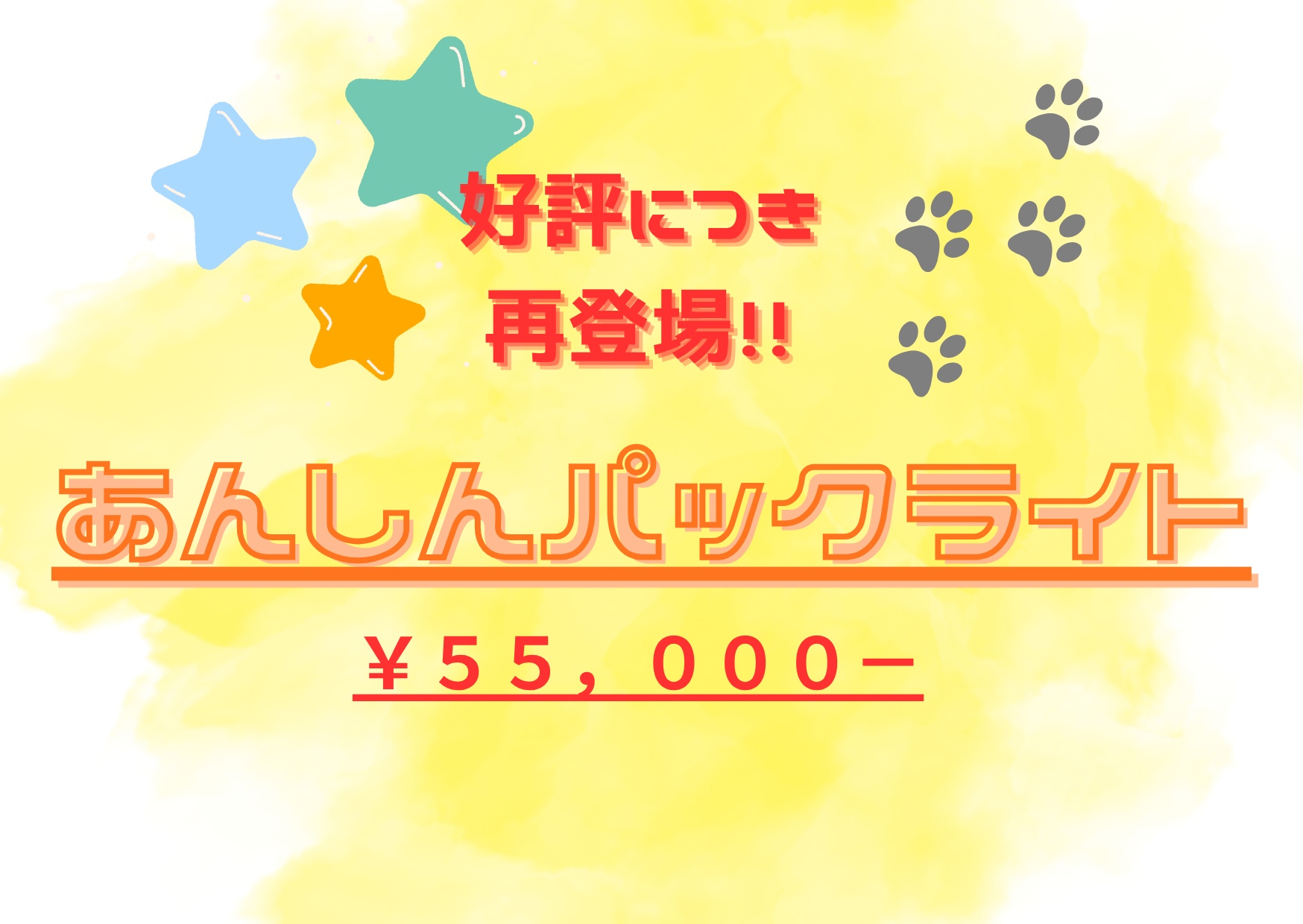 あんしんパックライト再び!! | 【全国120店舗以上】ペットショップ あんしんパックライト再び!! | 【全国120店舗以上】ペットショップ