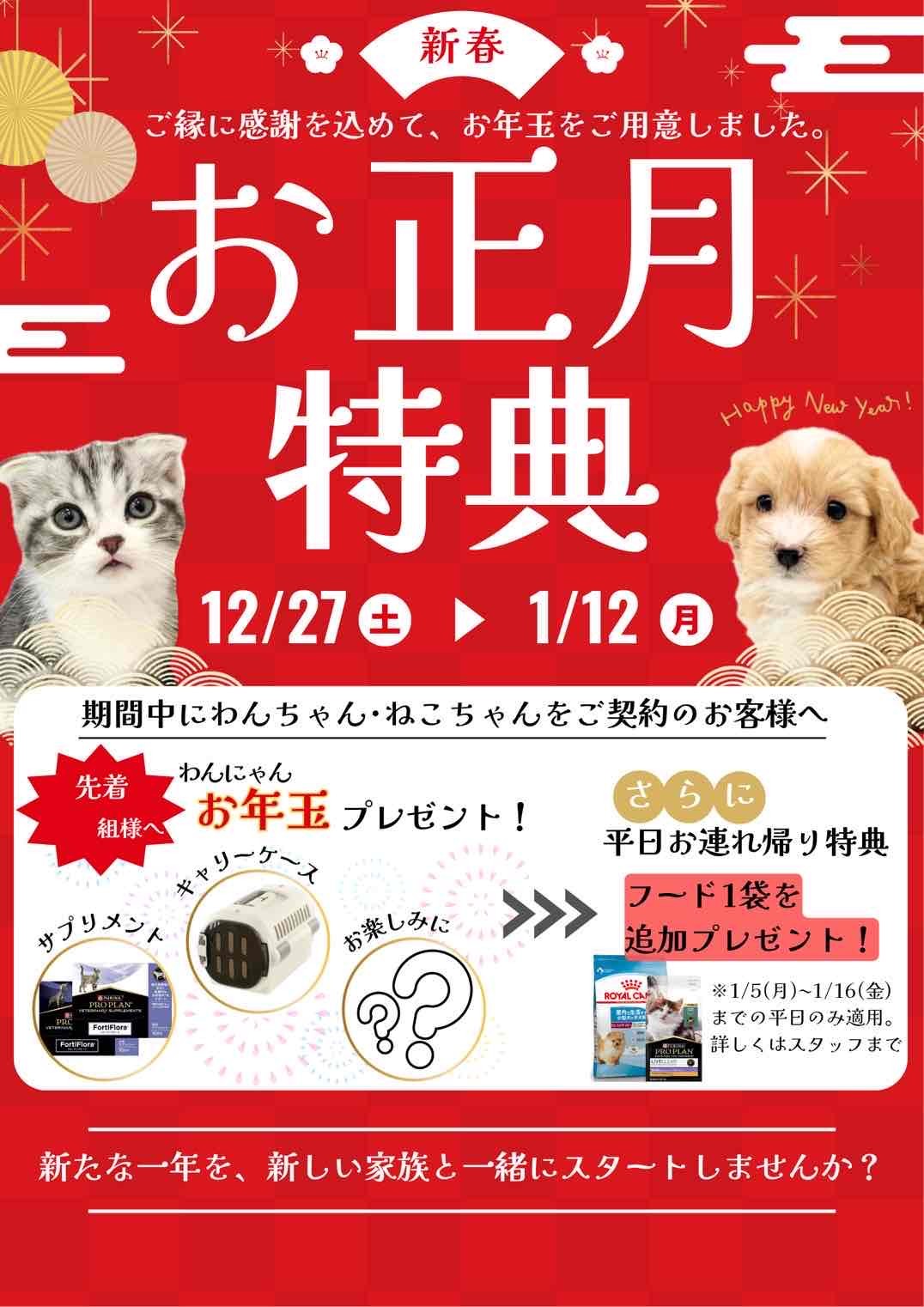 オーダー受付　わんこ夏休み　ご予約ページ　7/21 12/27㈯～1/12㈪ プレミアムフェア開催 | 【全国120店舗以上】ペット