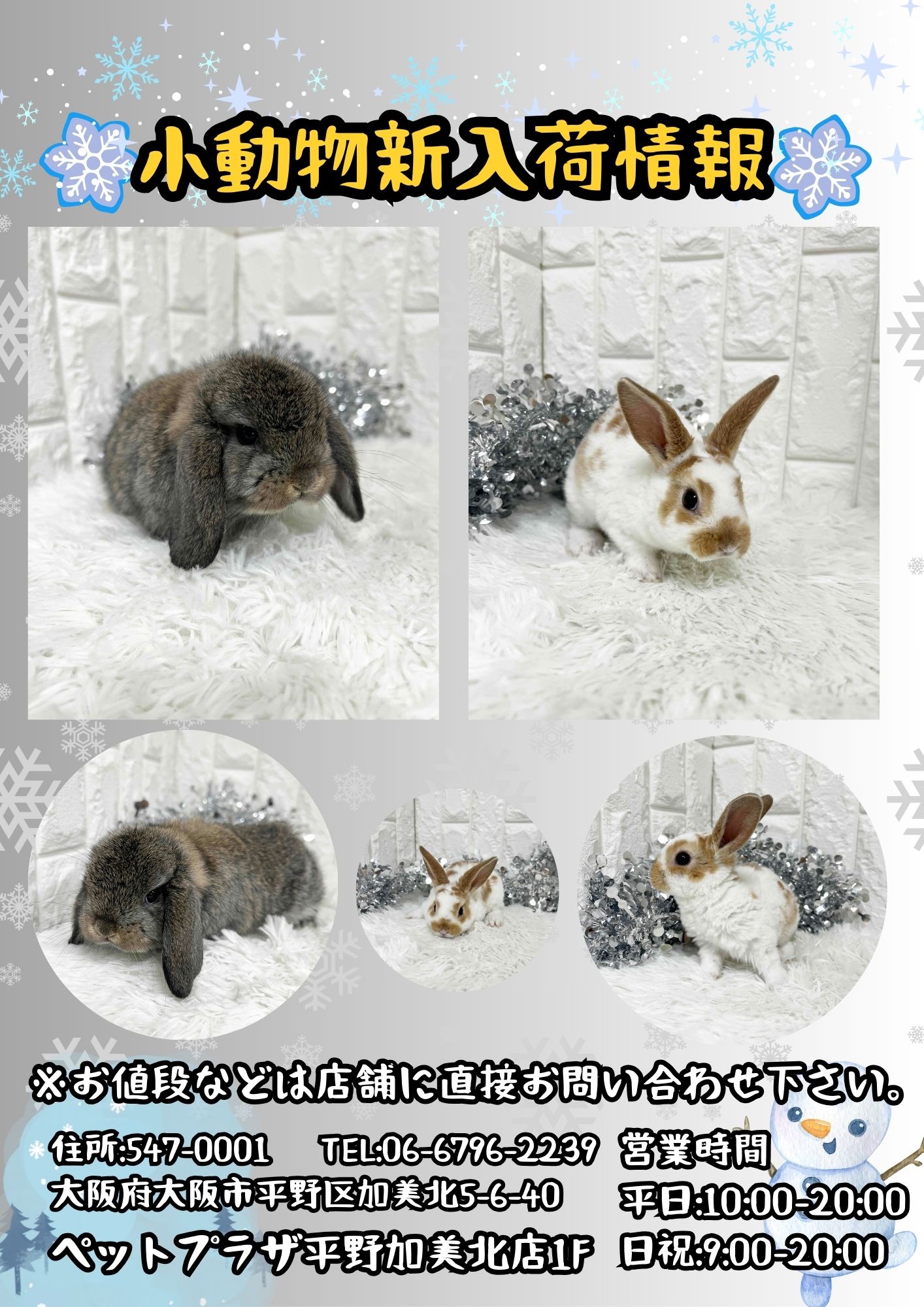 ☆ミニあにまる新入荷のお知らせ☆ | 【全国120店舗以上】ペット