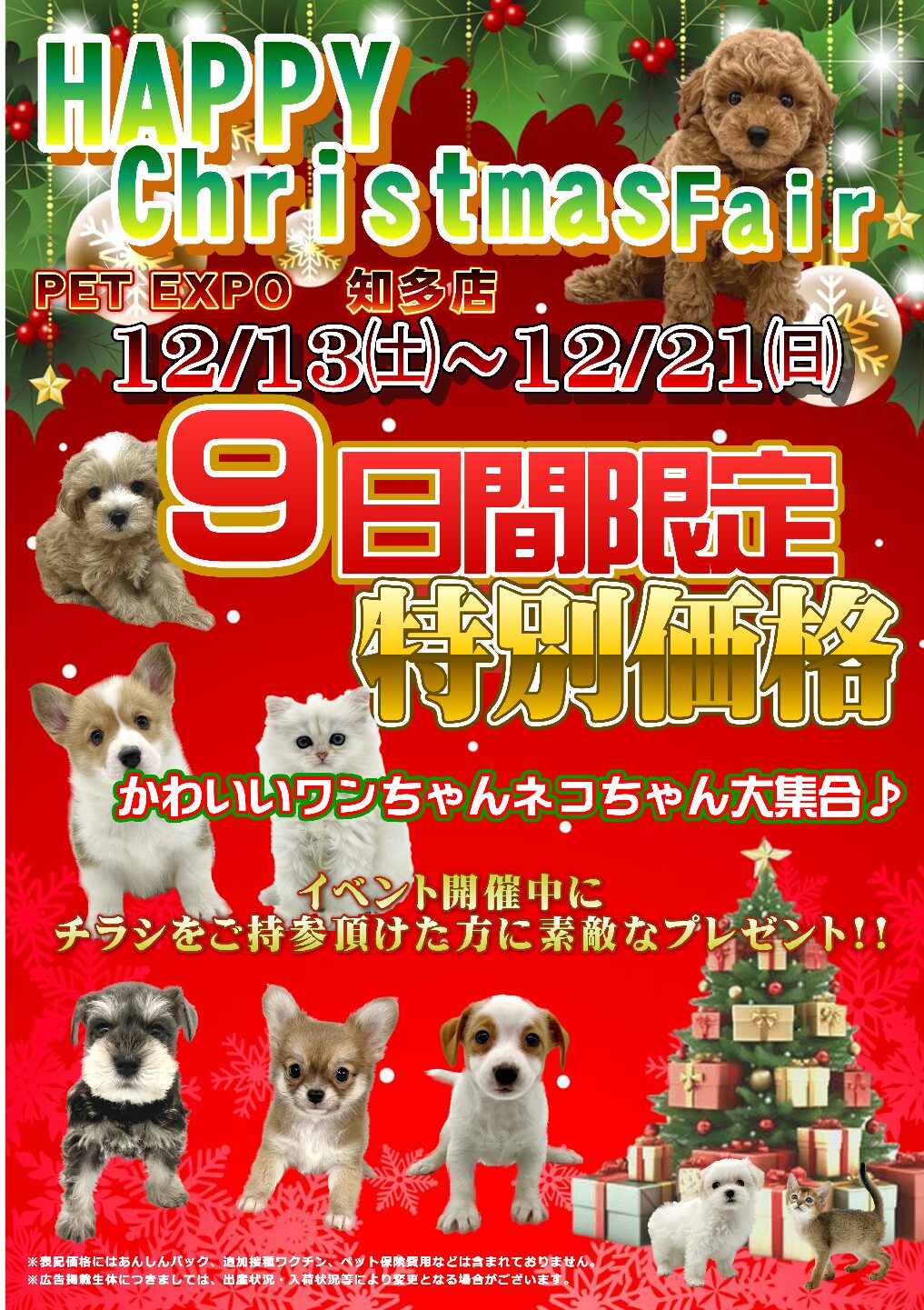 HAPPY Xmas Fair | 【全国120店舗以上】ペットショップ｜コーワペッツ