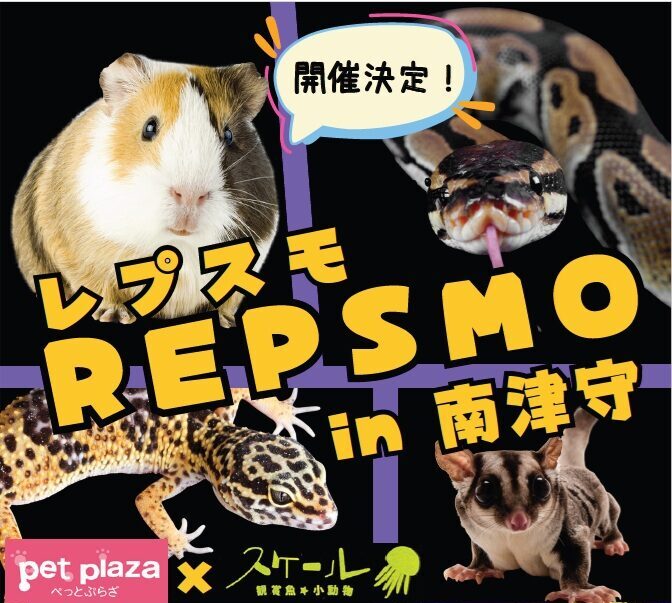 ペットプラザ南津守店】小動物、爬虫類即売会『レプスモ』開催