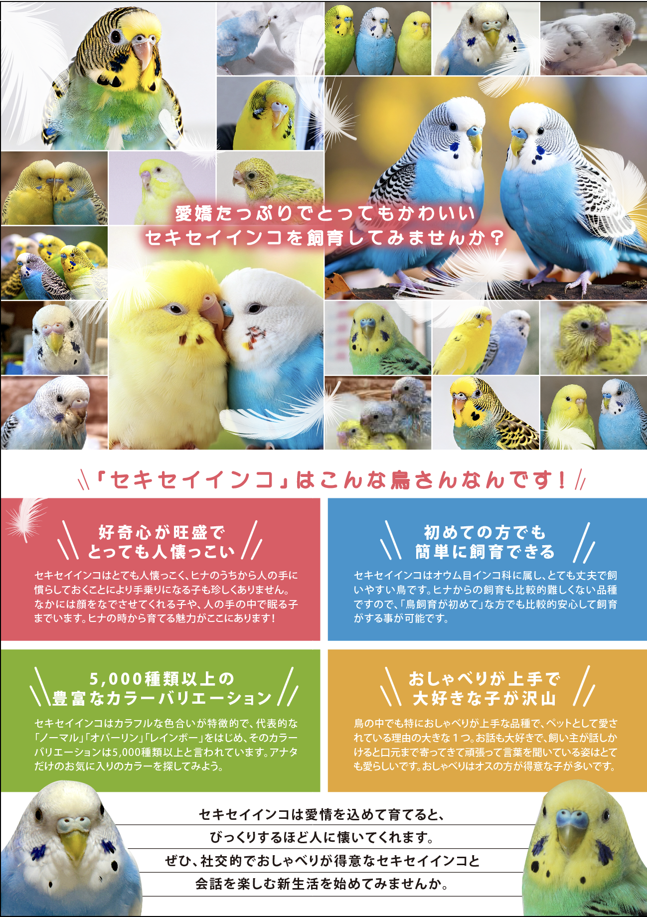 93421d359cc358185db7c45a6b6c2d