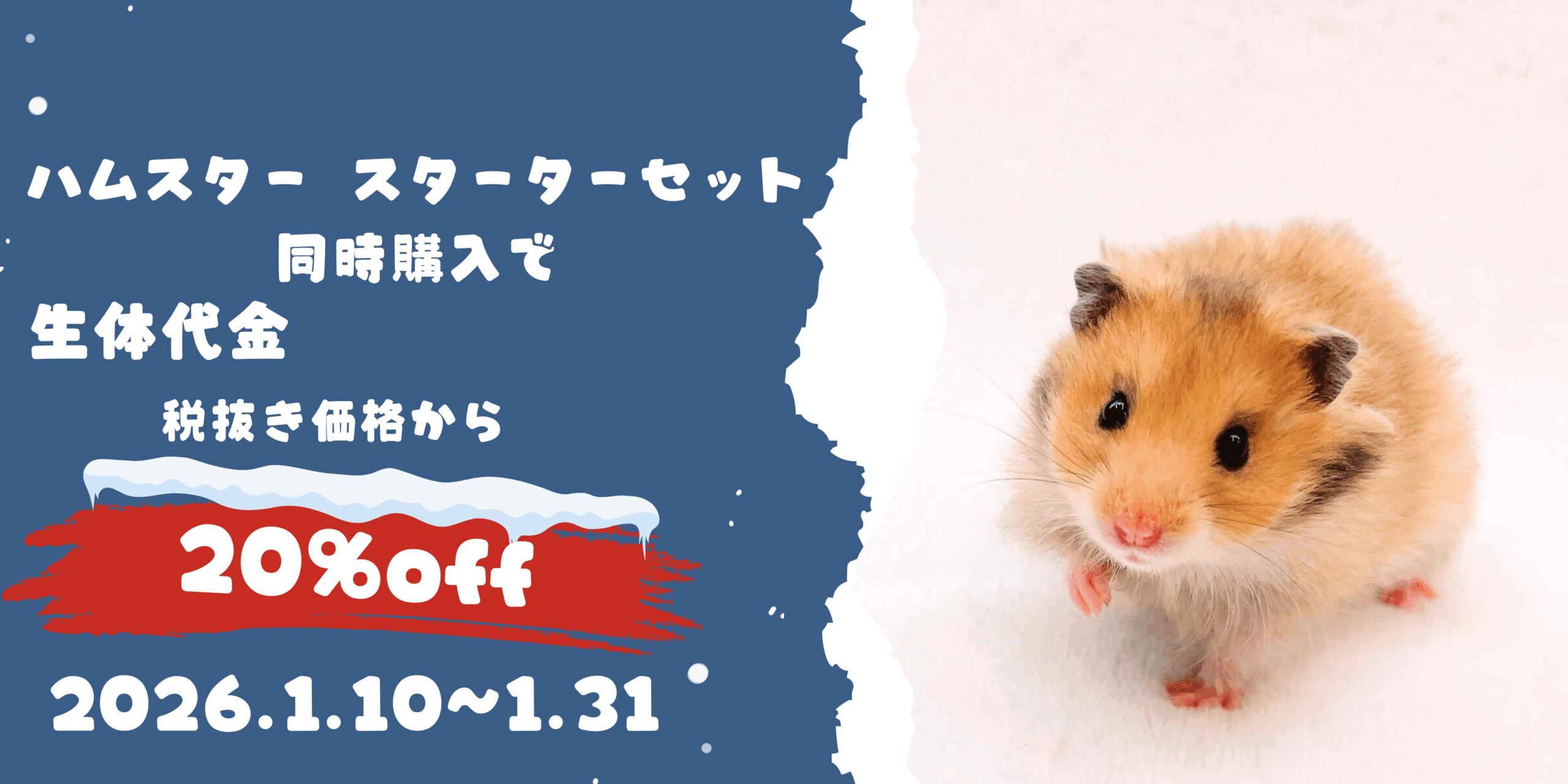 ペットプラザ西宮今津2号館店のお知らせ | 【全国120店舗以上】ペット