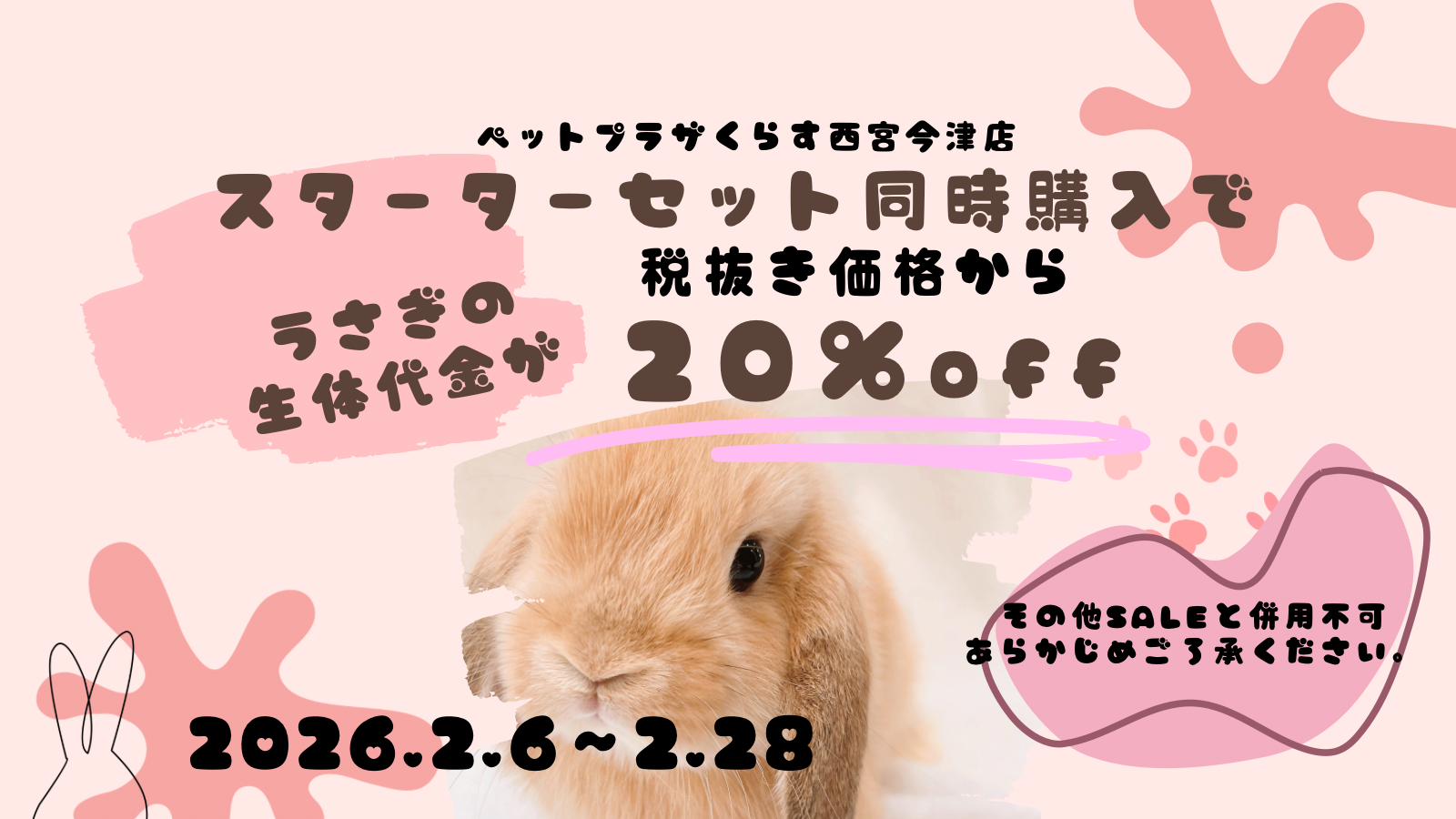 ペットプラザくらす西宮今津店】うさぎちゃんお迎え応援ふぇあ