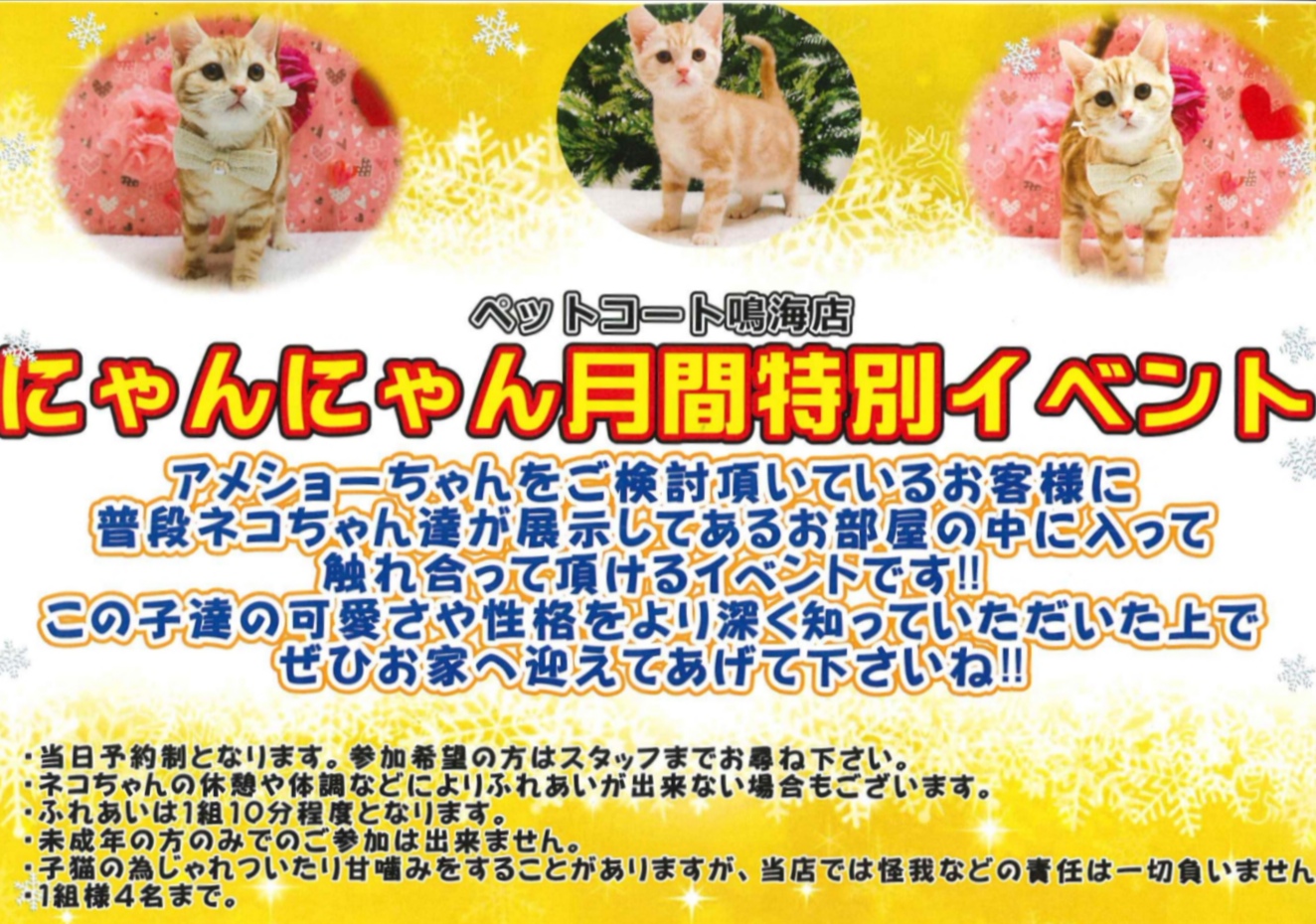 にゃん連絡 にゃんにゃん月間ふれあいイベント | 【全国120店舗以上】ペット