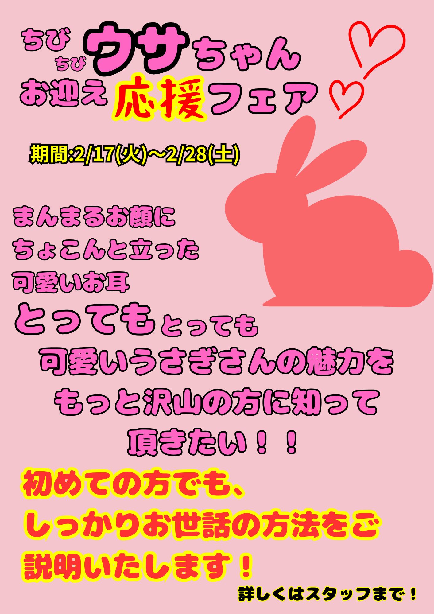 ☆ちびちびウサちゃんお迎え応援♪フェア開催のお知らせ☆ | 【全国120