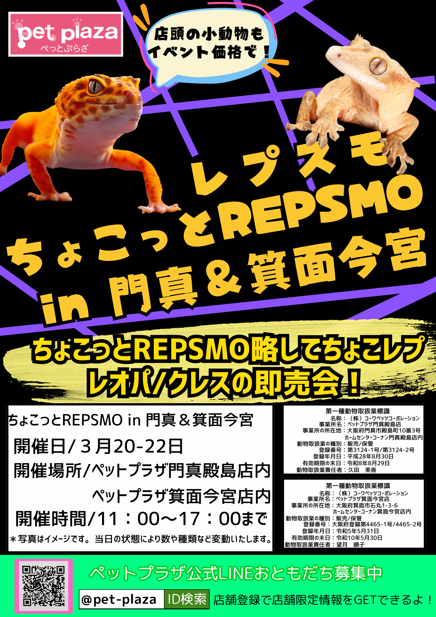 門真殿島店 爬虫類 即売会 イベント情報3/20～3/22 | 【全国120店舗
