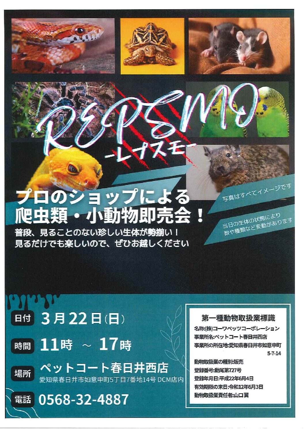レプスモ 爬虫類・小動物即売会！ | 【全国120店舗以上】ペット