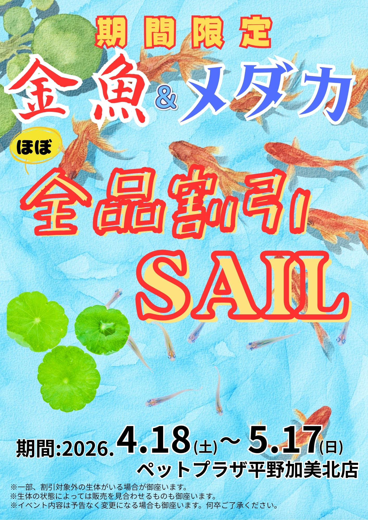 ペットプラザ平野加美北店】金魚＆メダカセール情報 | 【全国120店舗 