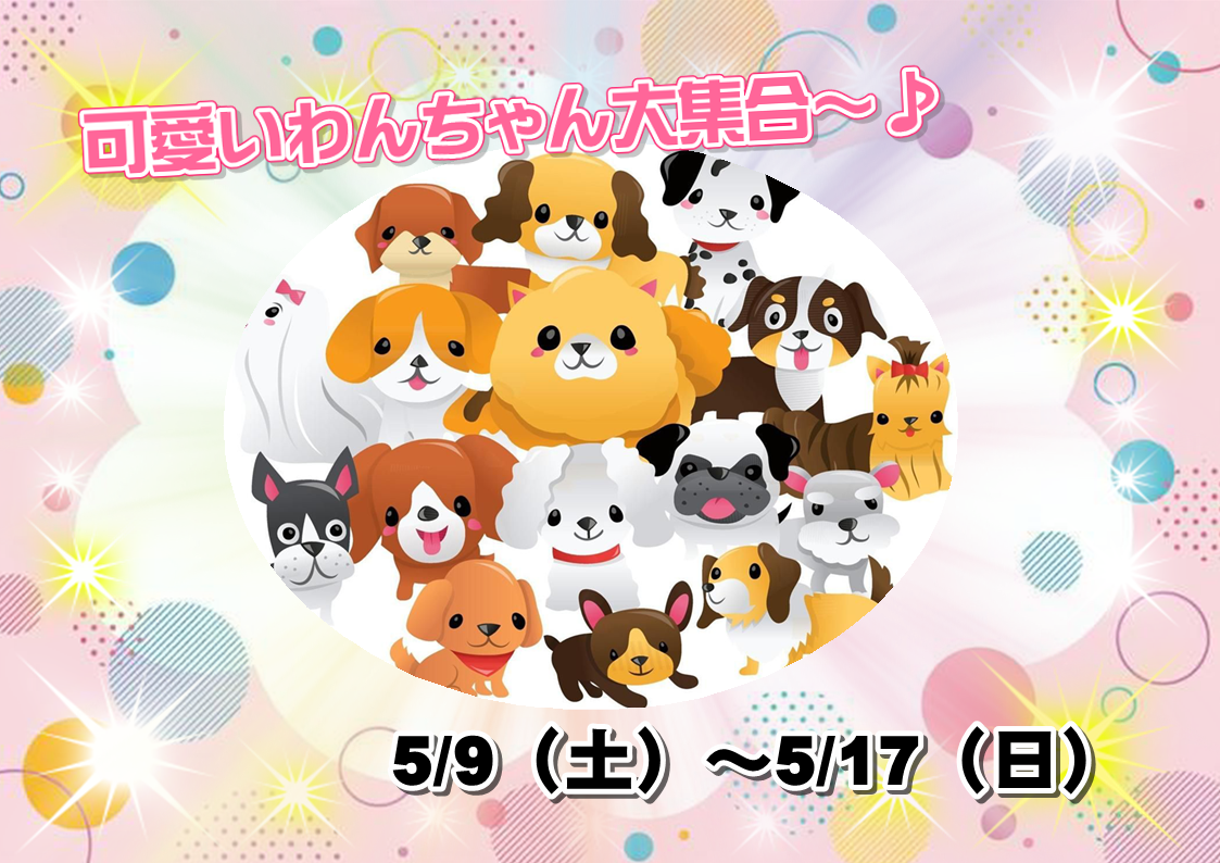可愛いわんちゃん大集合～♪ | 【全国120店舗以上】ペットショップ