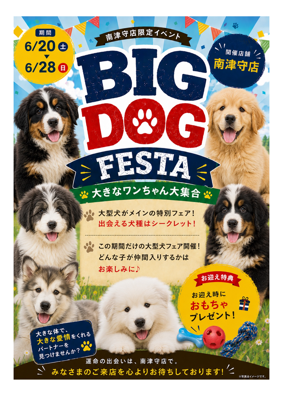 6/20(土)～6/28(日) BIG DOG FESTA | 【全国120店舗以上】ペット