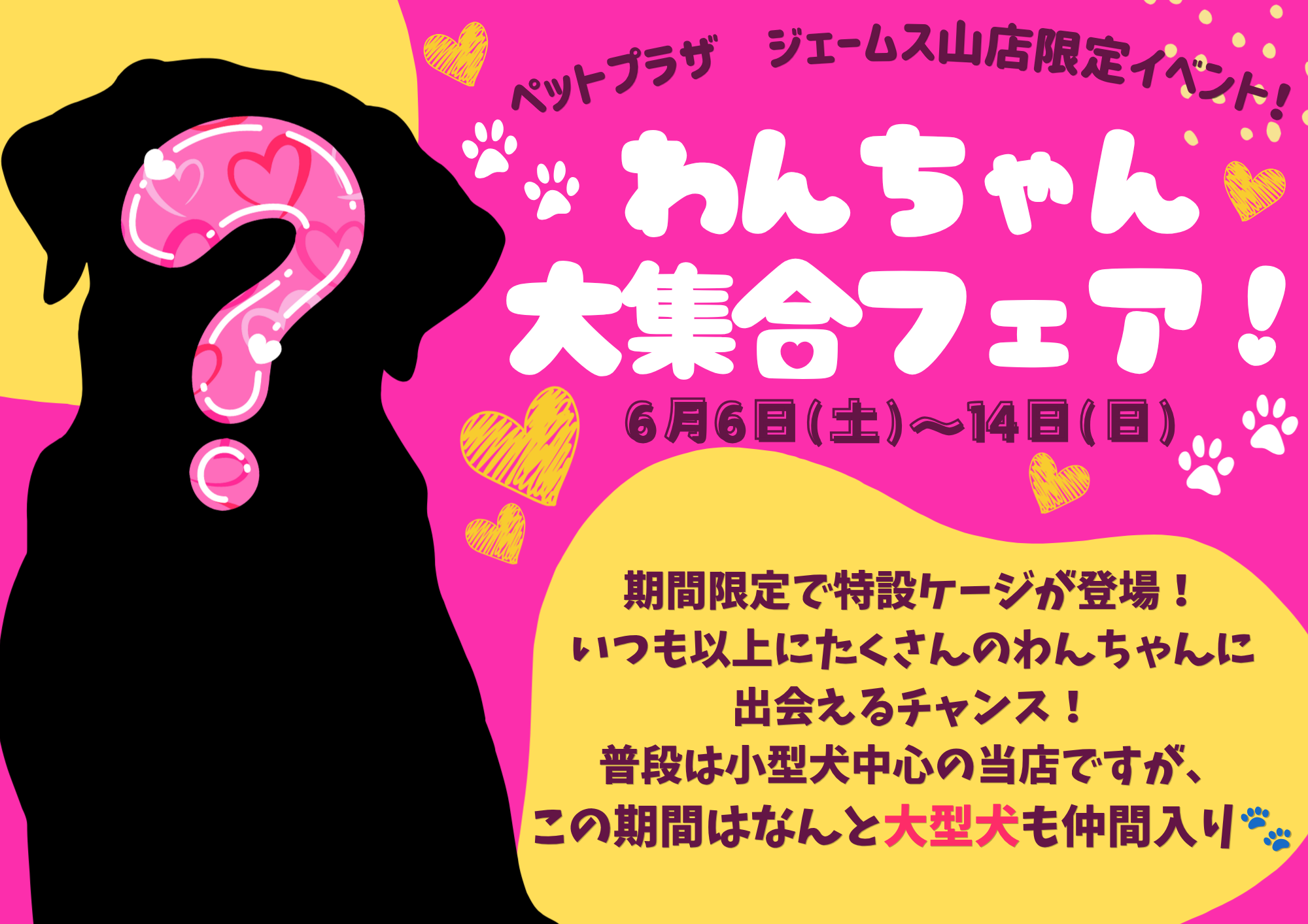 【RIBONページ】ワンちゃんズ大集合☆ わんちゃん大集合フェア！ | 【全国120店舗以上】ペットショップ