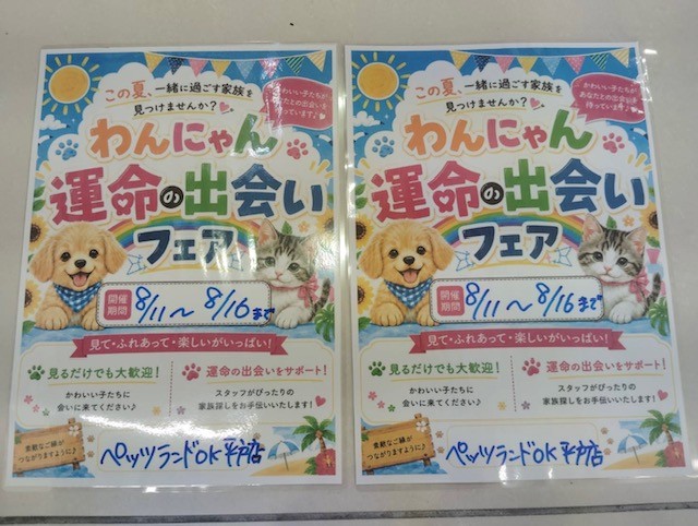 わんにゃん 運命の出会いフェア 8月11日～16日まで開催！ | 【全国120