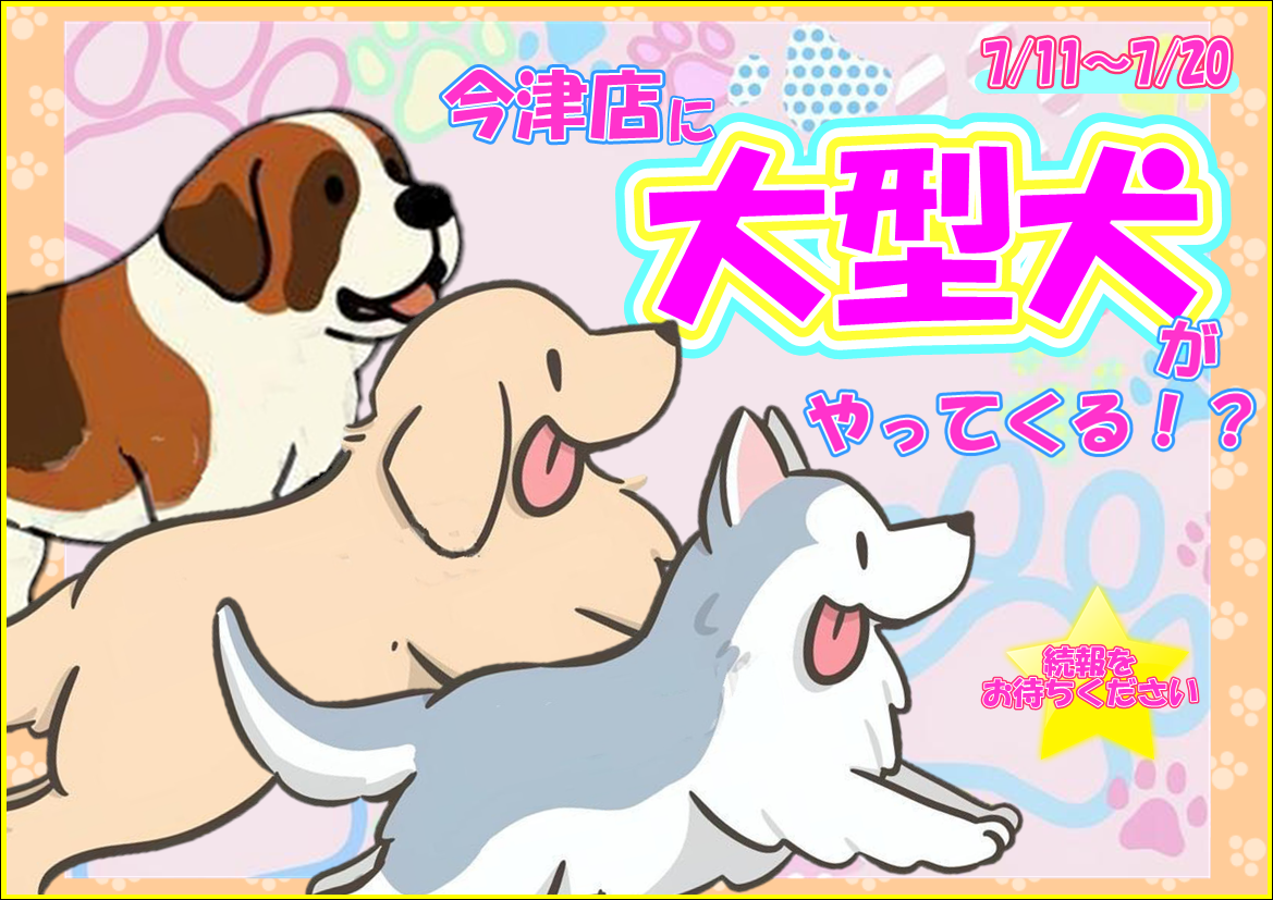 イベント情報 | 【全国120店舗以上】ペットショップ｜コーワペッツ