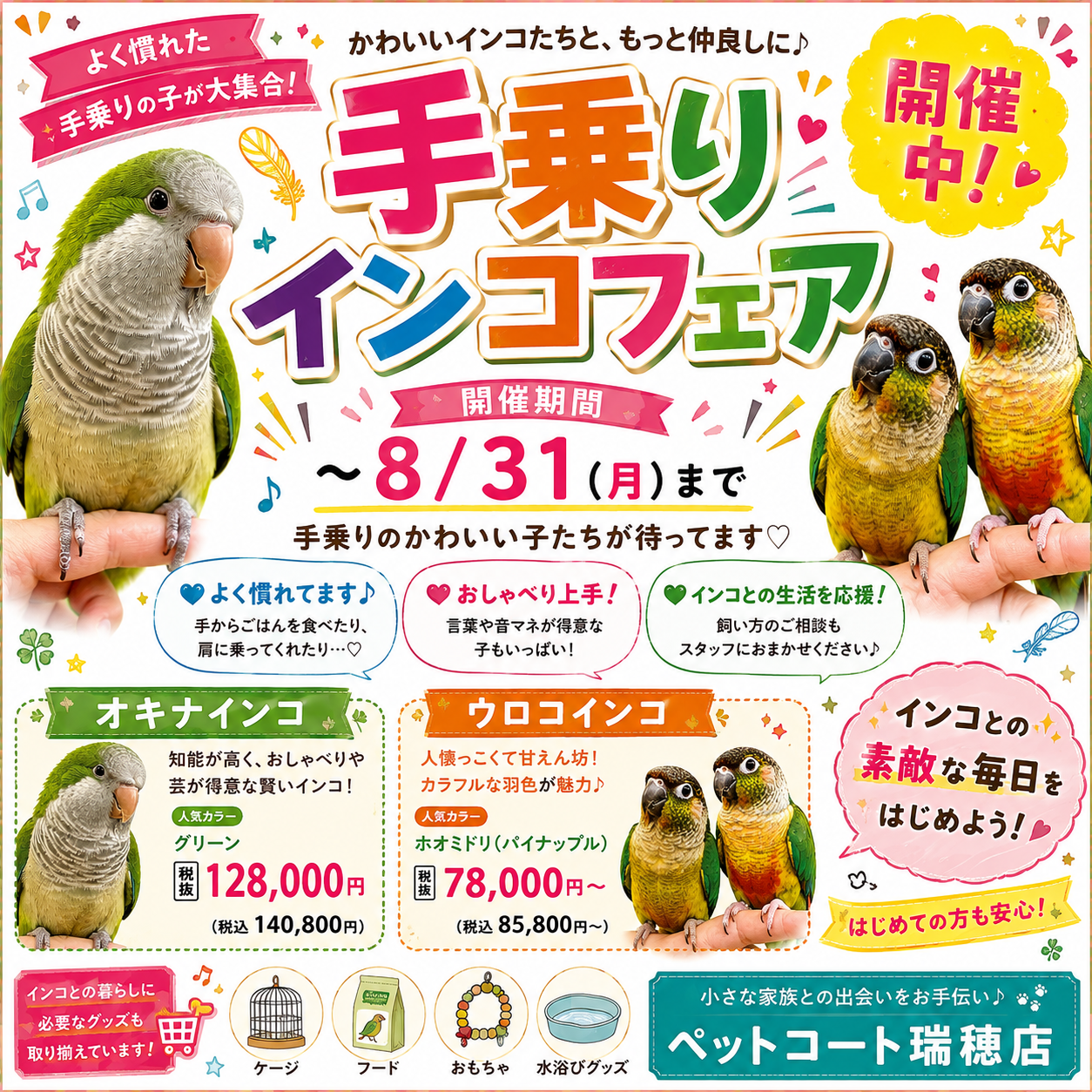 インコさま•*¨*•.¸♬︎専用 インコさま専用ページ♡ インコさま専用•*¨*•.¸♬︎ Amazon.co.jp