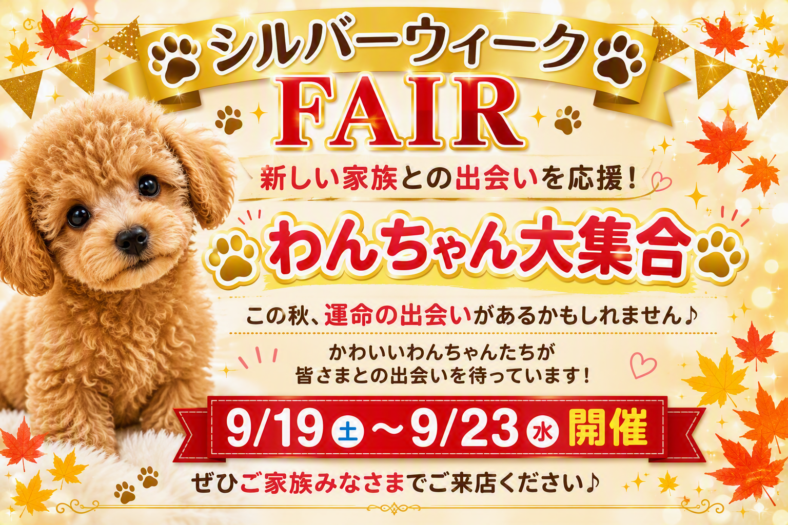 ペッツランドヒロセ元町店のお知らせ | 【全国120店舗以上】ペット