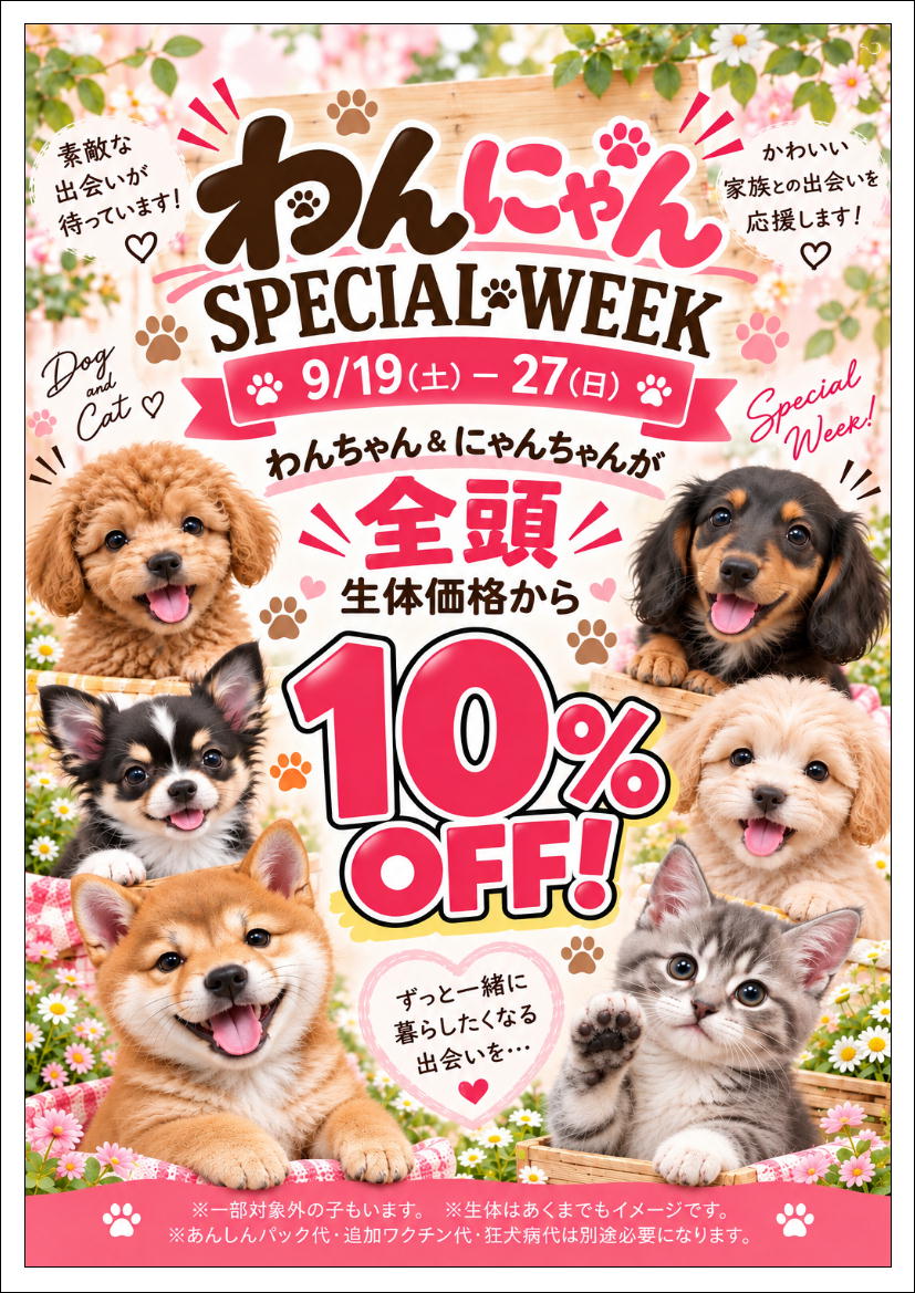 ペットプラザ砂田橋店】わんにゃんスペシャルウィーク | 【全国120店舗