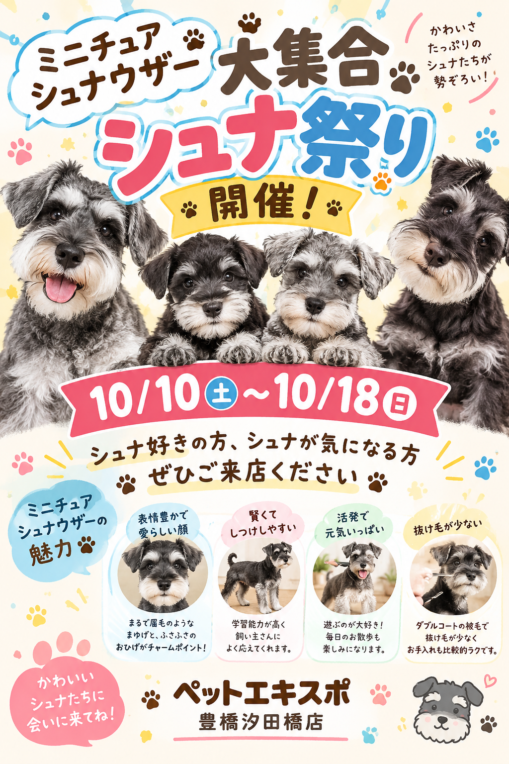 🐾✨ ミニチュアシュナウザー大集合！✨🐾 | 【全国120店舗以上
